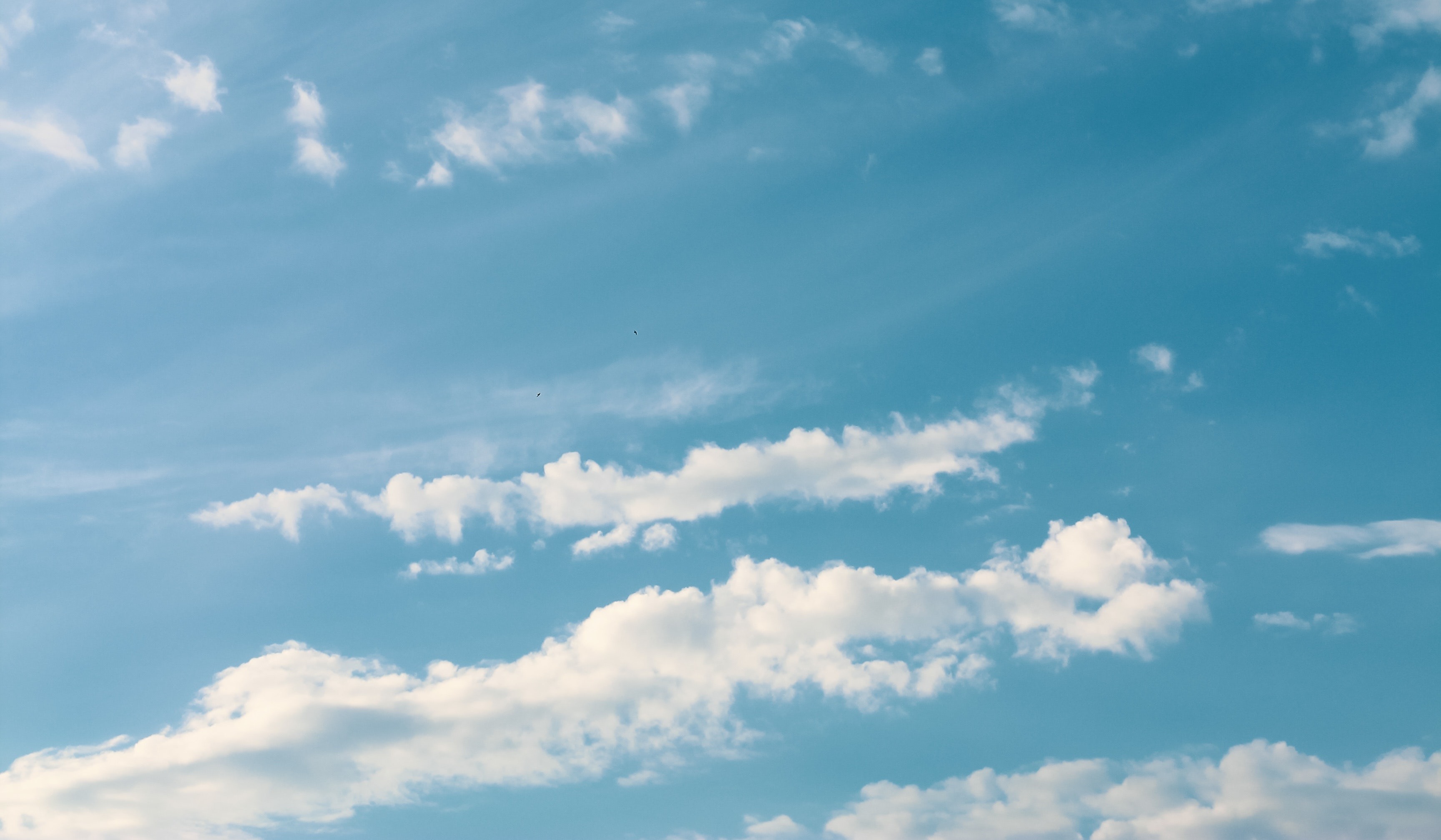 Tailwind Environmental Air